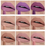 Pigmented lip color stick for precise application