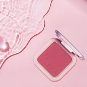 Makeup brush picking up pressed blush powder
